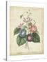 Victorian Bouquet I-Maubert-Stretched Canvas