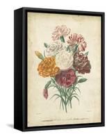 Victorian Bouquet II-Maubert-Framed Stretched Canvas