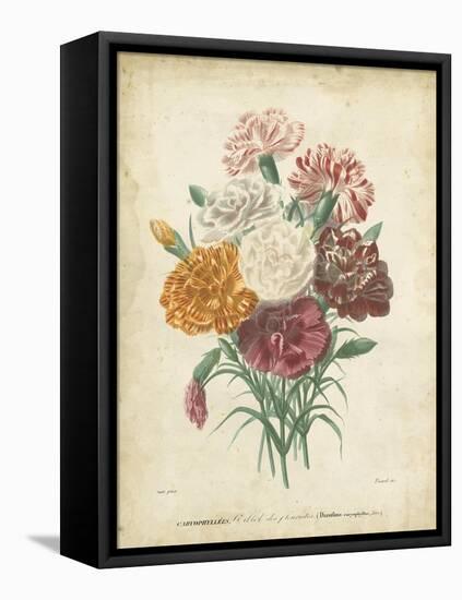 Victorian Bouquet II-Maubert-Framed Stretched Canvas