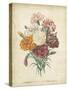 Victorian Bouquet II-Maubert-Stretched Canvas