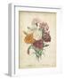 Victorian Bouquet II-Maubert-Framed Art Print