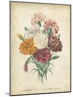 Victorian Bouquet II-Maubert-Mounted Art Print