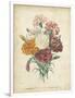 Victorian Bouquet II-Maubert-Framed Art Print