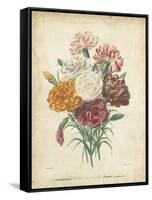 Victorian Bouquet II-Maubert-Framed Stretched Canvas