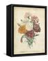 Victorian Bouquet II-Maubert-Framed Stretched Canvas