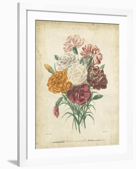 Victorian Bouquet II-Maubert-Framed Art Print