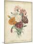 Victorian Bouquet II-Maubert-Mounted Art Print