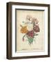 Victorian Bouquet II-Maubert-Framed Art Print