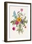 Victorian Bouquet. Spring Flowers. Poppy, Anemones, Tulips, Delphinium. Vintage Botanical Illustrat-Olga Korneeva-Framed Art Print