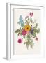 Victorian Bouquet. Spring Flowers. Poppy, Anemones, Tulips, Delphinium. Vintage Botanical Illustrat-Olga Korneeva-Framed Art Print