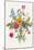 Victorian Bouquet. Spring Flowers. Poppy, Anemones, Tulips, Delphinium. Vintage Botanical Illustrat-Olga Korneeva-Mounted Art Print