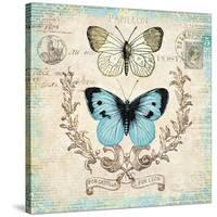 Victorian Butterflies-Christopher James-Stretched Canvas