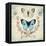 Victorian Butterflies-Christopher James-Framed Stretched Canvas