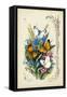 Victorian Butterfly Garden I-Vision Studio-Framed Stretched Canvas