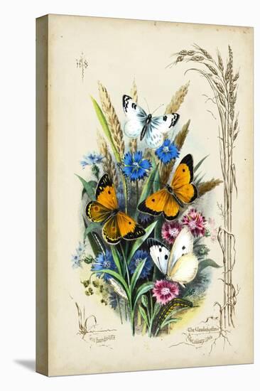 Victorian Butterfly Garden I-Vision Studio-Stretched Canvas