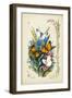 Victorian Butterfly Garden I-Vision Studio-Framed Art Print