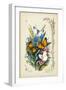 Victorian Butterfly Garden I-Vision Studio-Framed Art Print