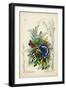 Victorian Butterfly Garden III-Vision Studio-Framed Art Print