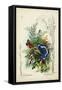 Victorian Butterfly Garden III-Vision Studio-Framed Stretched Canvas