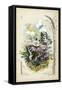 Victorian Butterfly Garden V-Vision Studio-Framed Stretched Canvas