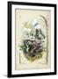 Victorian Butterfly Garden V-Vision Studio-Framed Art Print