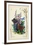 Victorian Butterfly Garden VI-Vision Studio-Framed Art Print