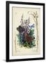 Victorian Butterfly Garden VI-Vision Studio-Framed Art Print