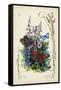 Victorian Butterfly Garden VI-Vision Studio-Framed Stretched Canvas