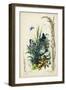 Victorian Butterfly Garden VIII-Vision Studio-Framed Art Print