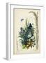 Victorian Butterfly Garden VIII-Vision Studio-Framed Art Print