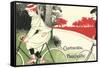 Victorian Drawing of Woman on Bicycle-null-Framed Stretched Canvas
