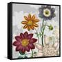 Victorian Garden 1-Devon Ross-Framed Stretched Canvas