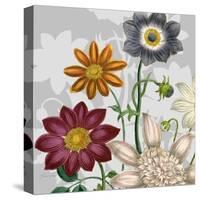 Victorian Garden 1-Devon Ross-Stretched Canvas