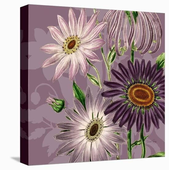 Victorian Garden 2-Devon Ross-Stretched Canvas