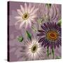 Victorian Garden 2-Devon Ross-Stretched Canvas