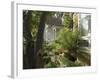 Victorian Houses, Downtown, Santa Cruz, California, USA-Ethel Davies-Framed Photographic Print