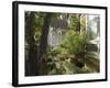 Victorian Houses, Downtown, Santa Cruz, California, USA-Ethel Davies-Framed Photographic Print