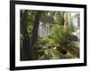 Victorian Houses, Downtown, Santa Cruz, California, USA-Ethel Davies-Framed Photographic Print