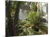 Victorian Houses, Downtown, Santa Cruz, California, USA-Ethel Davies-Mounted Photographic Print