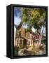 Victorian Houses in the Fall, Toronto, Ontario, Canada, North America-Donald Nausbaum-Framed Stretched Canvas