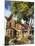 Victorian Houses in the Fall, Toronto, Ontario, Canada, North America-Donald Nausbaum-Mounted Photographic Print