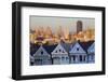 Victorian Houses (Painted Ladies) and Financial District-Miles-Framed Photographic Print