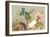 Victorian Hummingbird-null-Framed Art Print