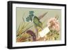 Victorian Hummingbird-null-Framed Art Print