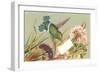 Victorian Hummingbird-null-Framed Art Print