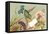 Victorian Hummingbird-null-Framed Stretched Canvas