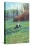 Victorian Lady Picking Flowers in Field-null-Stretched Canvas