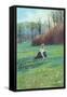 Victorian Lady Picking Flowers in Field-null-Framed Stretched Canvas