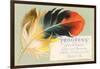 Victorian Multi-Colored Feather-null-Framed Art Print