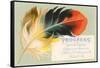 Victorian Multi-Colored Feather-null-Framed Stretched Canvas